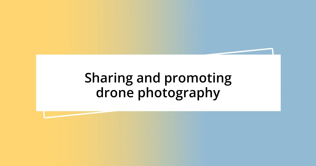 Sharing and promoting drone photography