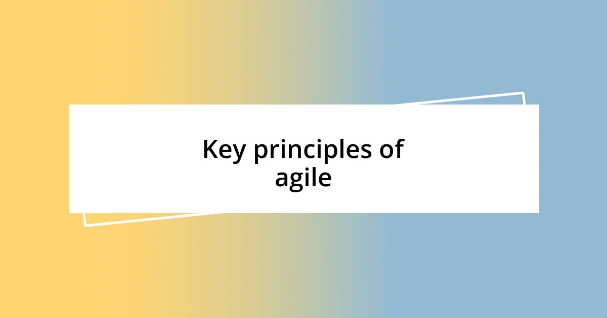 Key principles of agile