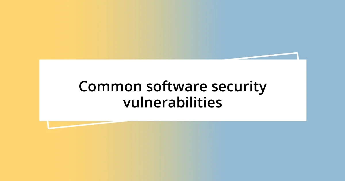 Common software security vulnerabilities