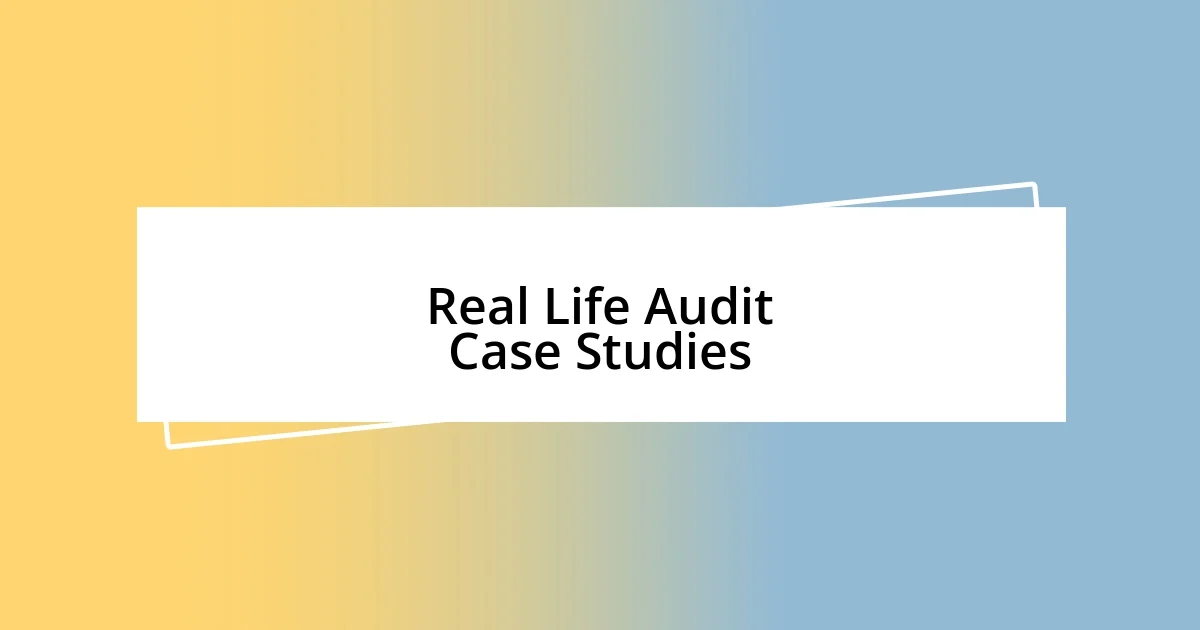 Real Life Audit Case Studies