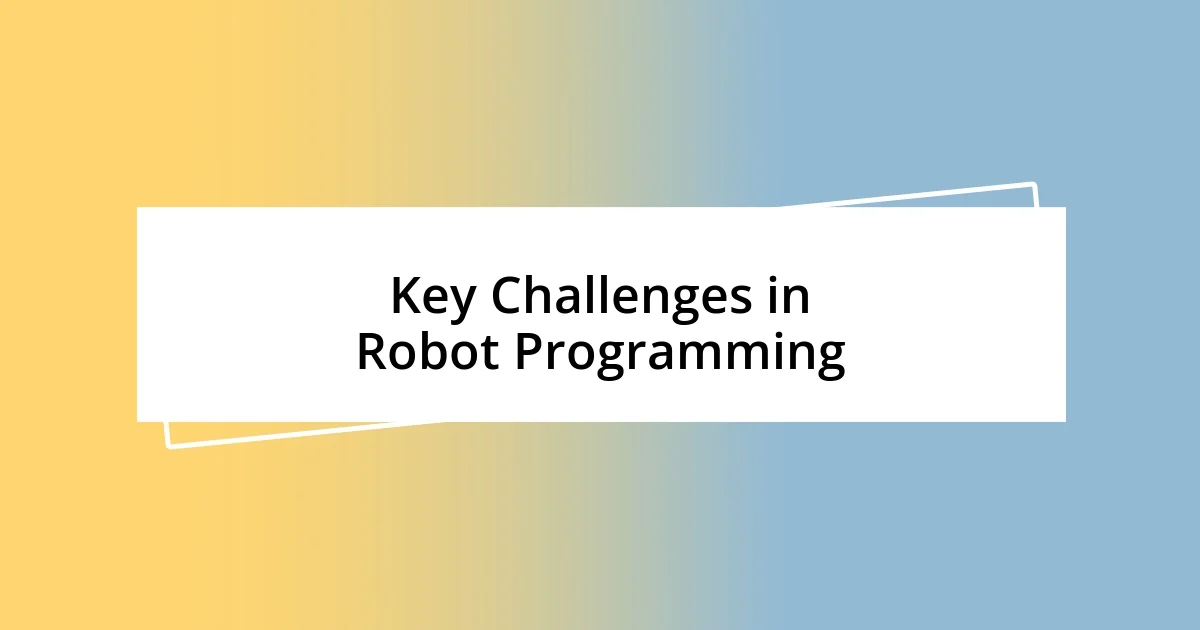 Key Challenges in Robot Programming