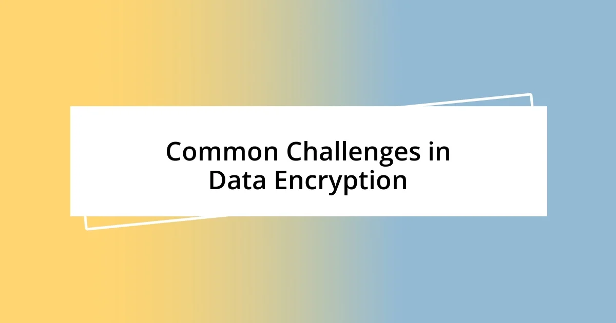 Common Challenges in Data Encryption